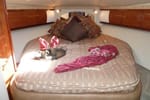 Sea Ray Sundancer 2006