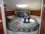 2005 sundancer